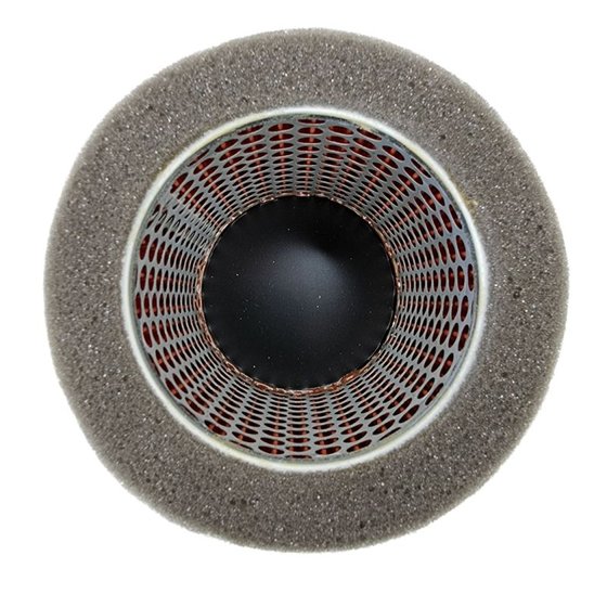 AF1705 JR air filter