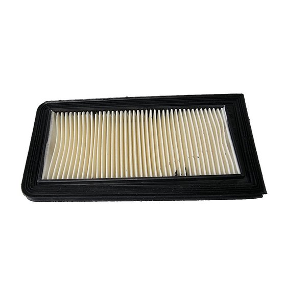 BT134630 BIKETEC air filter