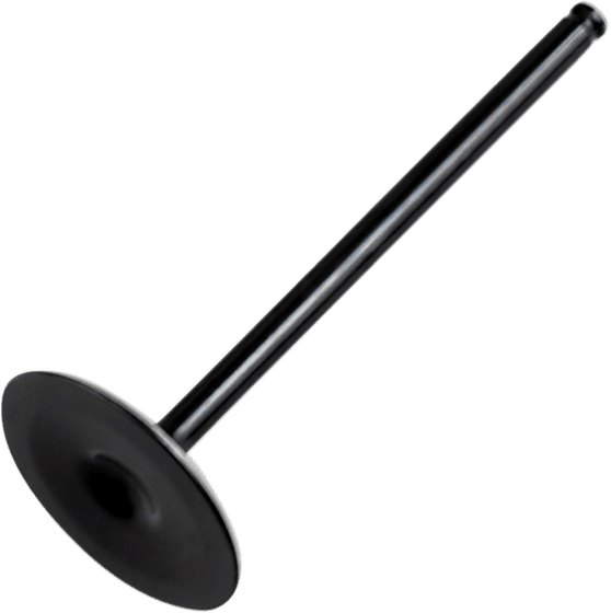 HC00034 Hot Cams intake valve steel