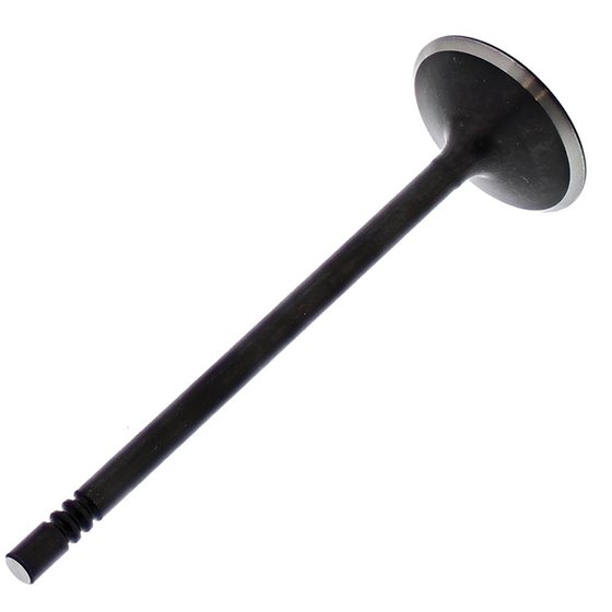 HC00032 Hot Cams intake valve steel