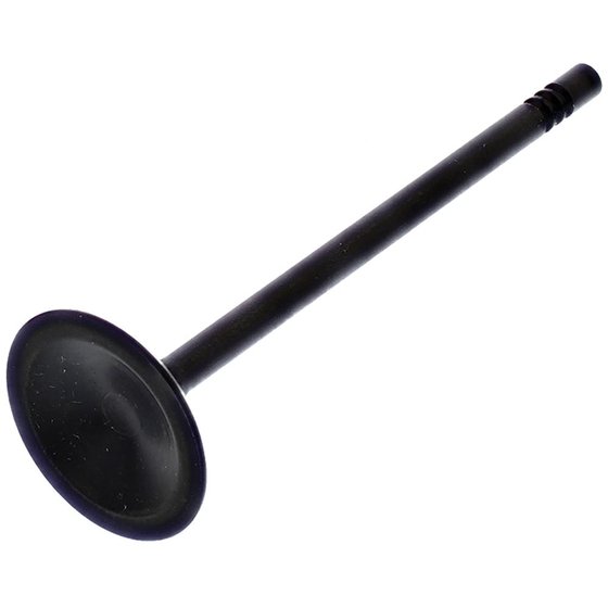 HC00032 Hot Cams intake valve steel