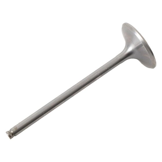 8400032-2 Hot Cams intake valve titanium