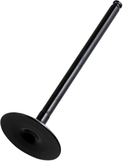 8400038-2 Hot Cams intake valve steel