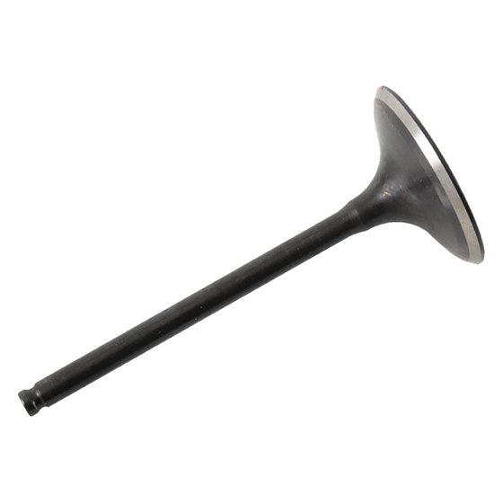 8400009-2 Hot Cams intake valve steel