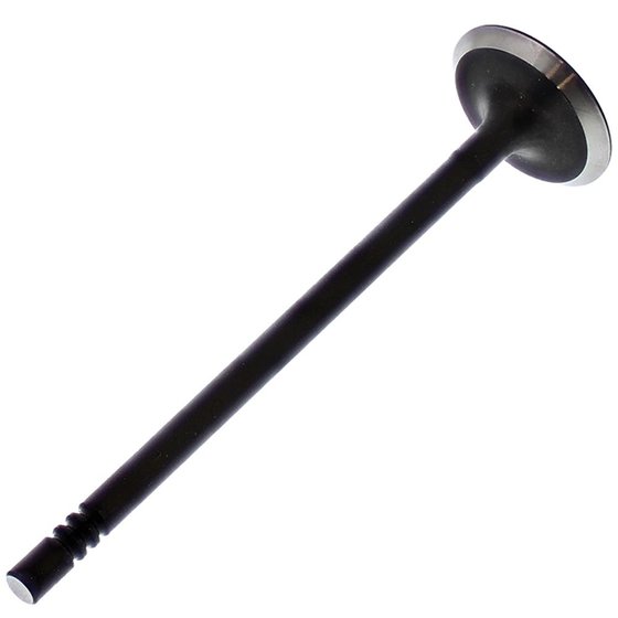 HC00031 Hot Cams exhaust valve steel