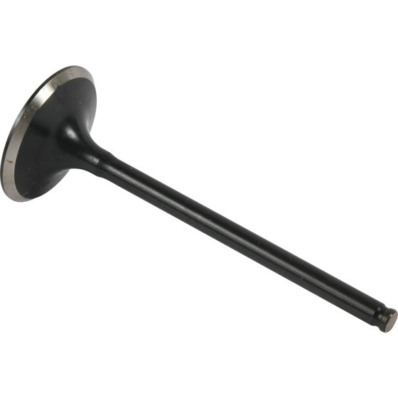 8400002-1 Hot Cams exhaust valve steel