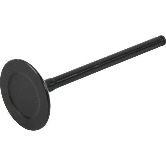 8400002-1 Hot Cams exhaust valve steel