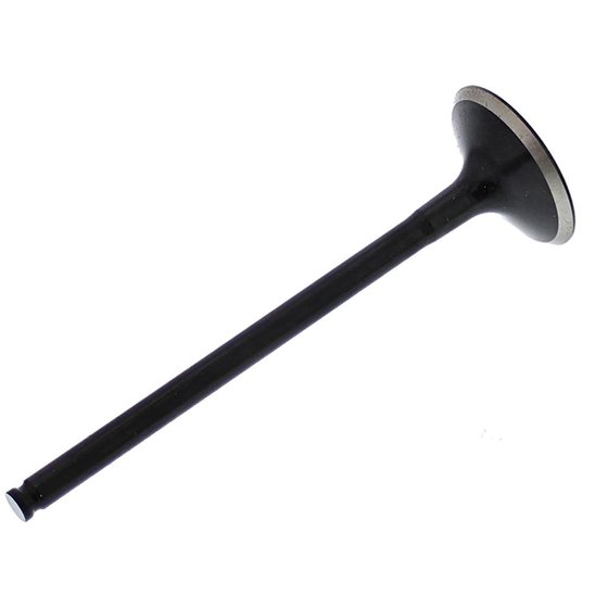 HC00038 Hot Cams exhaust valve steel