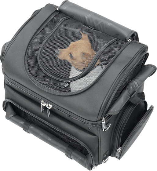 SADDLEMEN pet carrier synthetic leather black