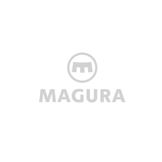 2123206 MAGURA hymec clutch for 790 duke