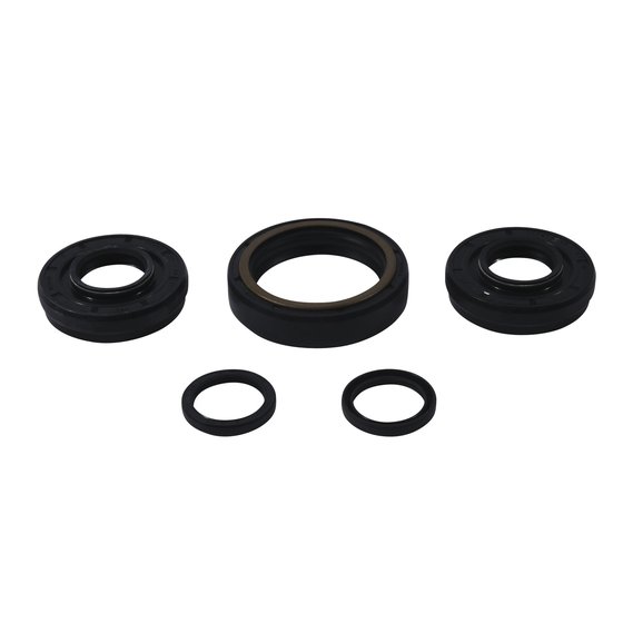 25-2100 All Balls differential bearing and seal kit front