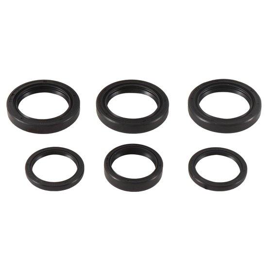 25-2065 All Balls differential bearing and seal kit front