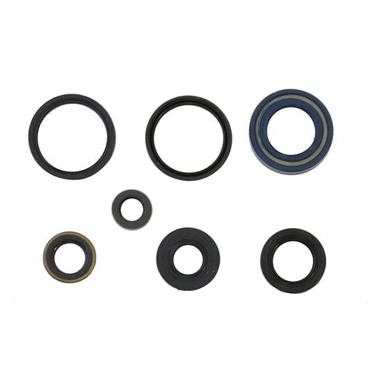 P400210400006 ATHENA engine oil seals kit