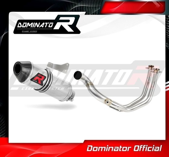 YA114DF-S Dominator exhaust full system silencer hp3