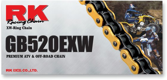 RK gold drive chain