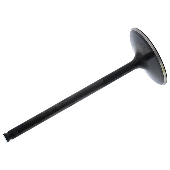 HC00034 Hot Cams intake valve steel