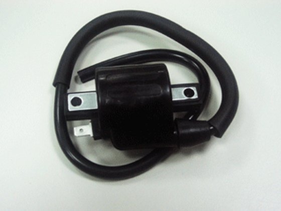 NACHMAN universal ignition coil