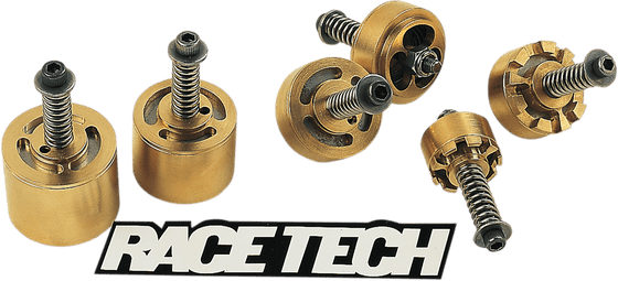 FEGV S3001 RACE TECH rt gold valve emulators kit