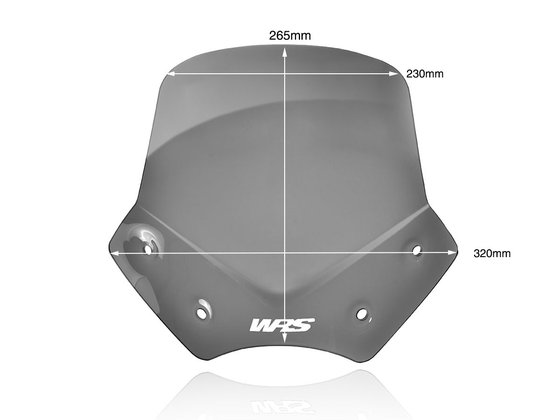 BM046FS WRS sport windscreen for bmw r1200r