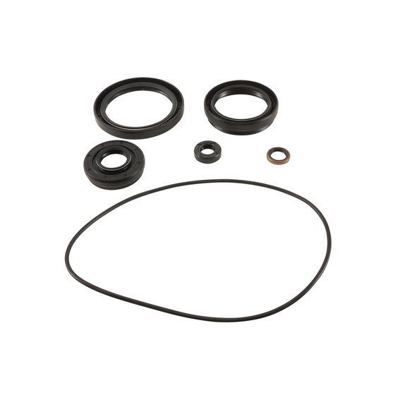 25-2120 All Balls differential bearing and seal kit front