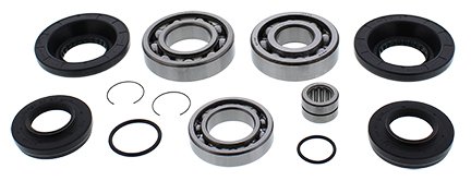 25-2111 All Balls differential bearing and seal kit rear