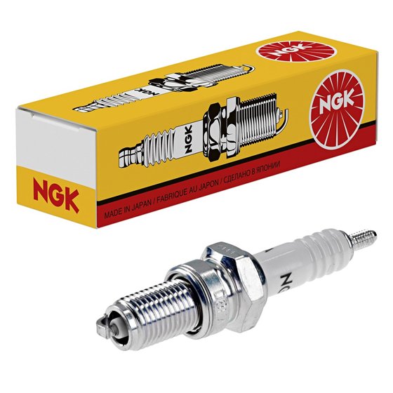 D8EA NGK spark plug