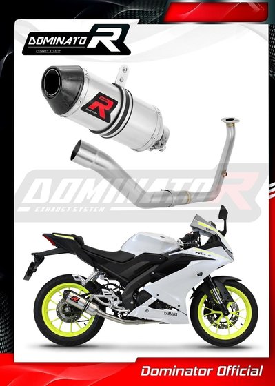 YA152DF-S Dominator full exhaust system silencer hp3