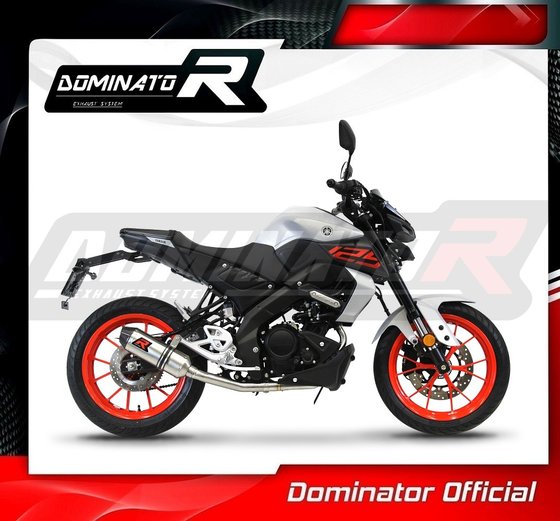 YA124DF-S Dominator exhaust full system silencer hp3