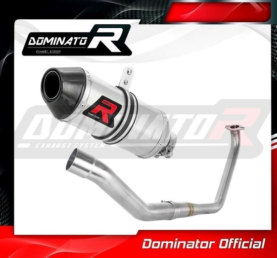 YA124DF-S Dominator exhaust full system silencer hp3