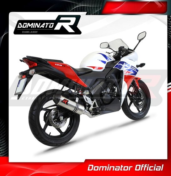 HO100DF-S Dominator exhaust full system silencer hp3