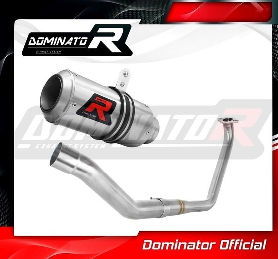 YA124DC-S Dominator exhaust full system silencer gp