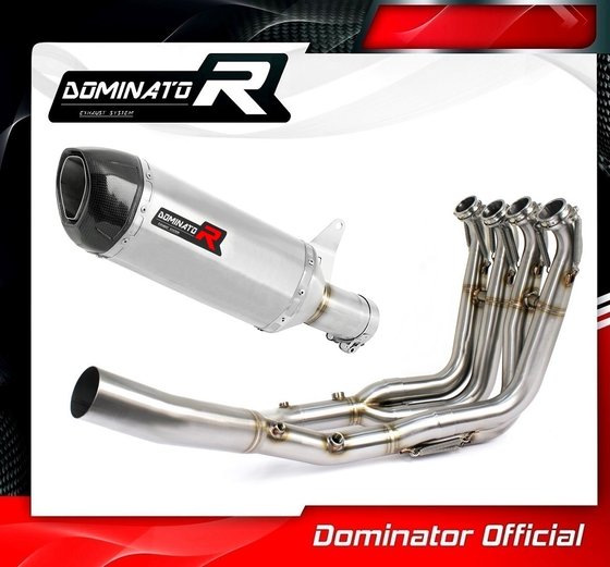 BW103DF-S Dominator full exhaust system silencer hp1