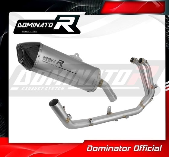 AP039DFT-S Dominator full exhaust system silencer titanium hp7