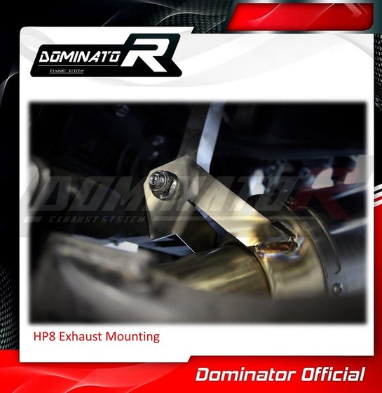 YA145DFEX-S Dominator full exhaust system silencer hp8 ex