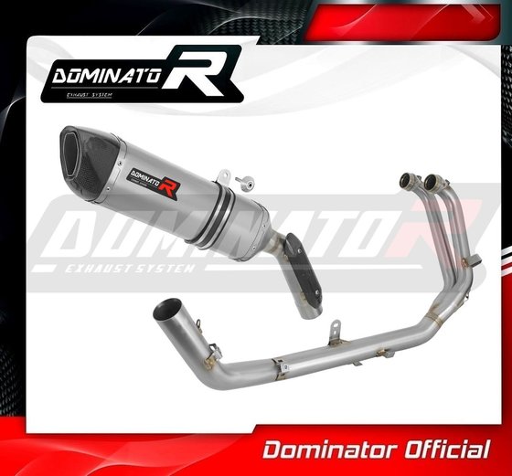 AP038DF-S Dominator full exhaust system silencer hp6