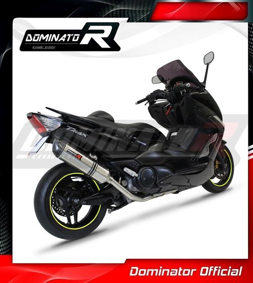 YA135DF-S Dominator full exhaust system silencer hp1