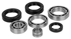 25-2112 All Balls transaxle bearing and seal kit