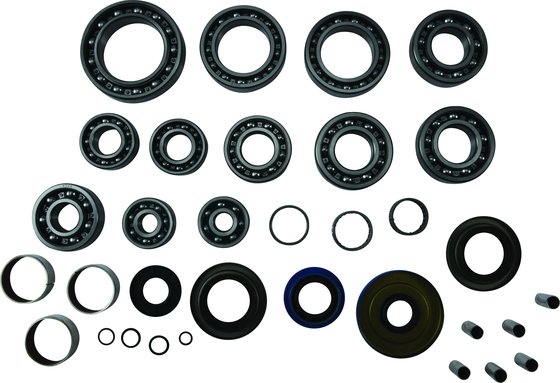 25-2123 All Balls transaxle bearing and seal kit