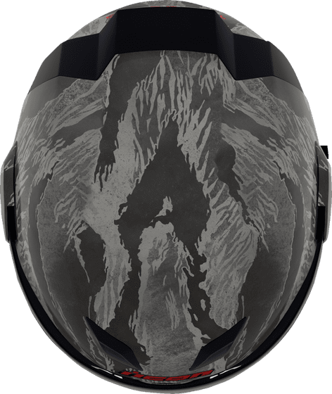 ICON airflite™ tiger's blood mips® helmet