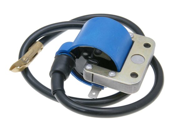 IP32529 101 OCTANE ignition coil