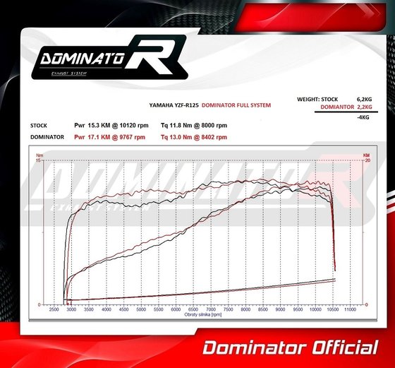 YA001DF-S Dominator exhaust full system silencer hp3