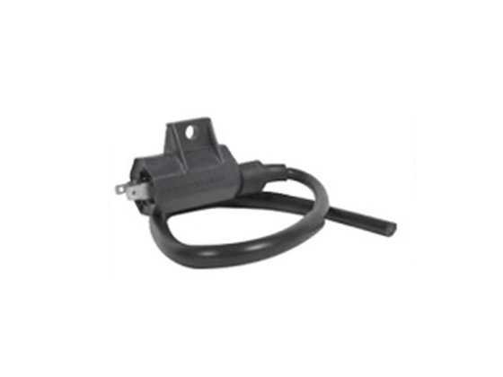 AT-01316 NACHMAN ignition coil