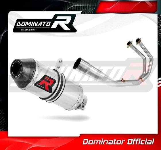 YA075DF-S Dominator exhaust full system silencer hp3