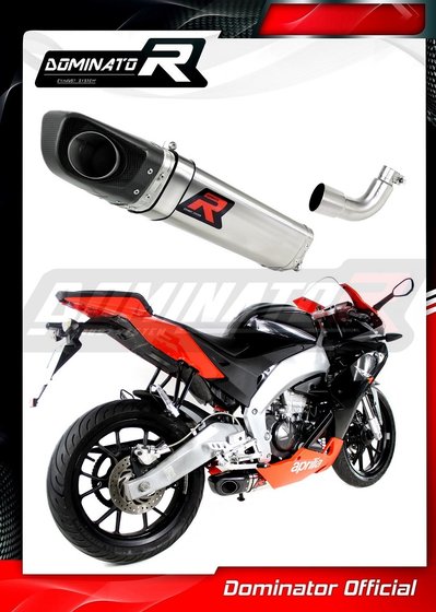 AP020DF-S Dominator exhaust silencer hp4