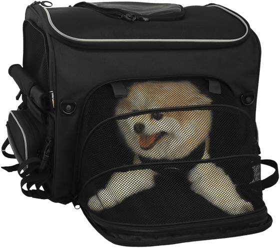 NELSON RIGG route 1 rover pet carrier