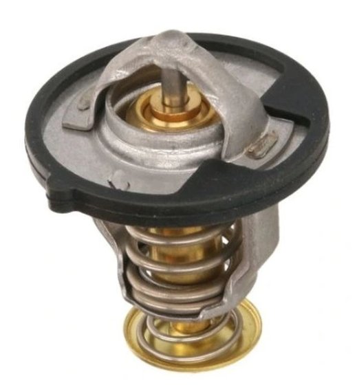 TMT-101 Tourmax thermostat