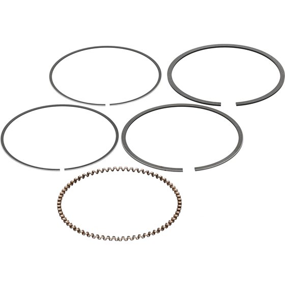 590368500001 Vertex piston ring