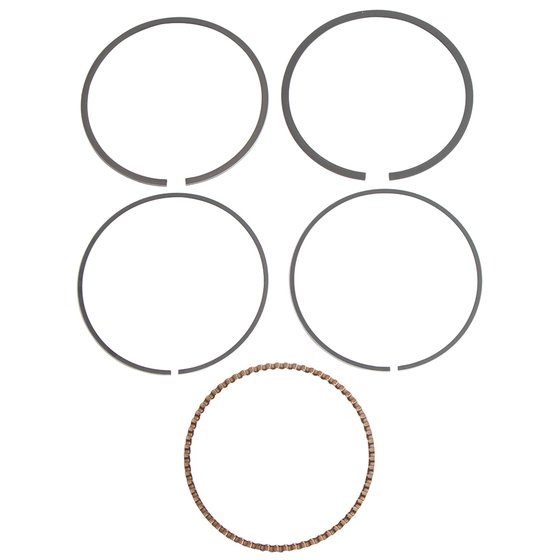 590368500001 Vertex piston ring