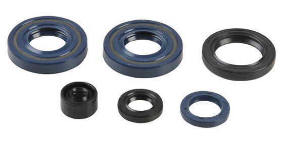 P400250400061 ATHENA engine oil seals kit