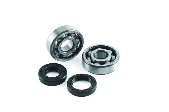 6111018 JASIL crank bearing seal kit